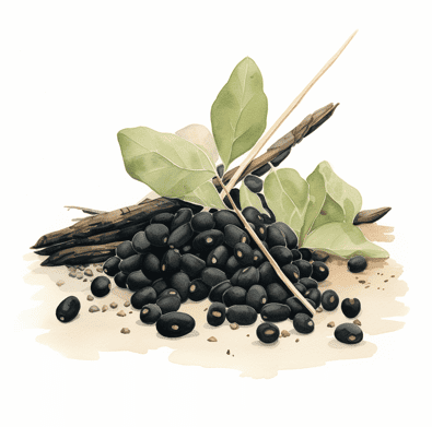 Black soy beans