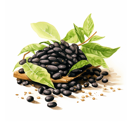 Black soybeans vs black beans