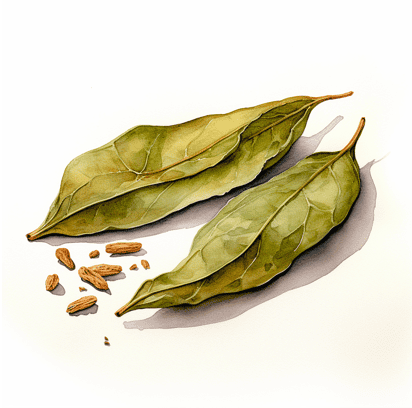 Dried bay leaves