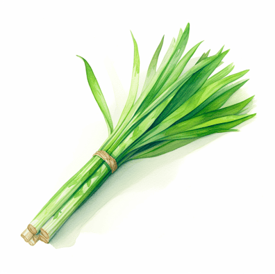 Stalks of lemongrass